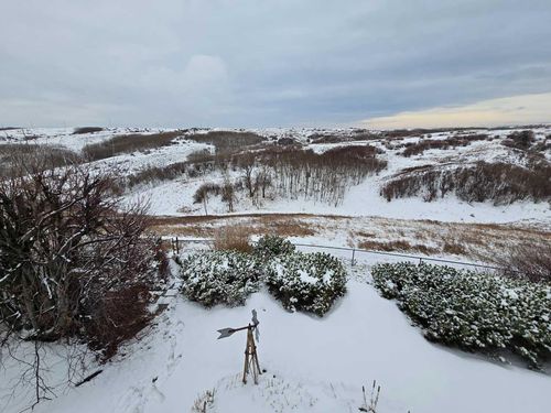 356 Macewan Park View Nw, Calgary, AB, T3K4G6 | Card Image
