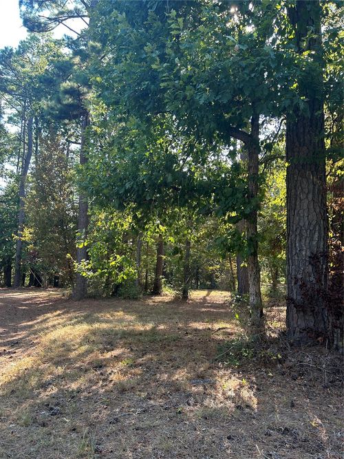 TBD Weepee Dr, Livingston, TX, 77351 | Card Image