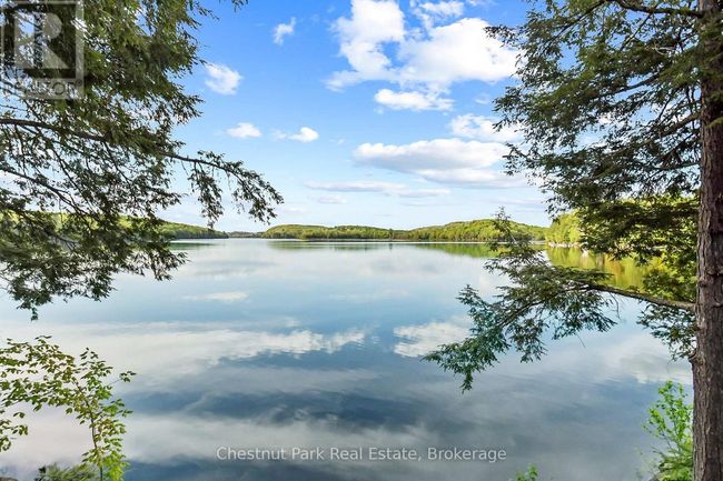 2438 Kushog Lake Road, House other with 5 bedrooms, 6 bathrooms and 8 parking in Algonquin Highlands (Stanhope) ON | Image 45