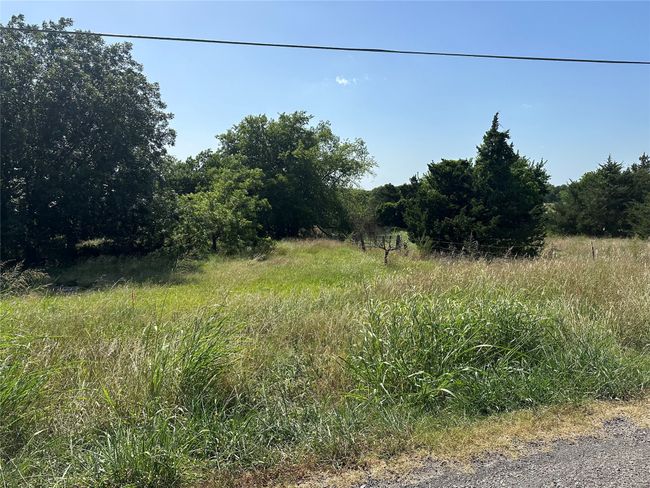 View of woods | Image 20