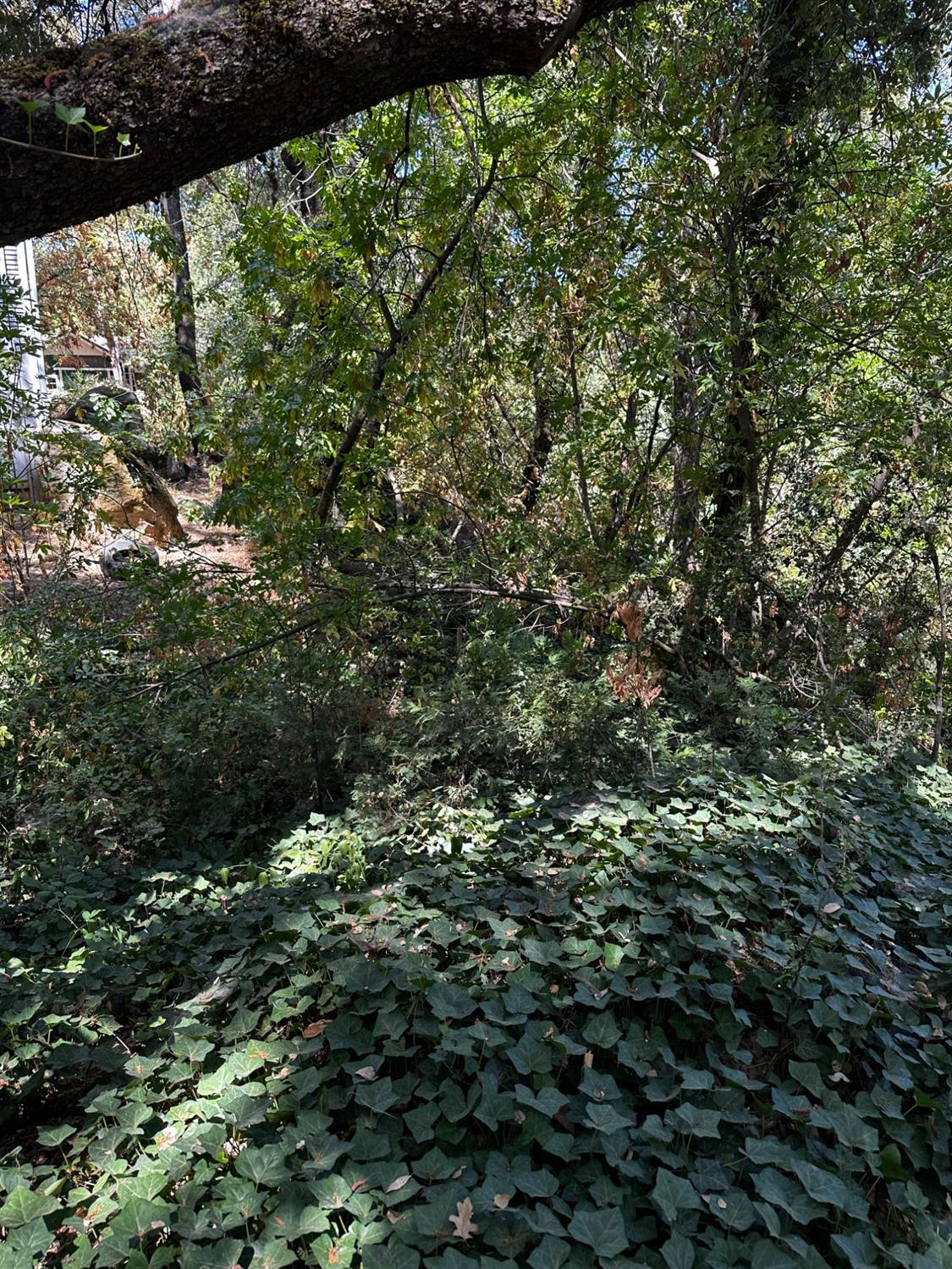 Land in River Pines 3
