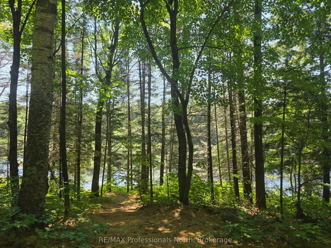 1134 Walker Line Rd, Home with 0 bedrooms, 0 bathrooms and null parking in Algonquin Highlands ON | Image 12