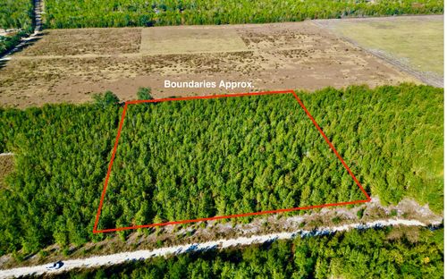 217 Ne Homesite Rd, Madison, FL, 32340 | Card Image