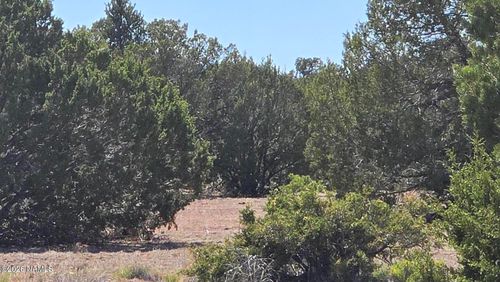 8012 Daisy Drive, Williams, AZ, 86046 | Card Image
