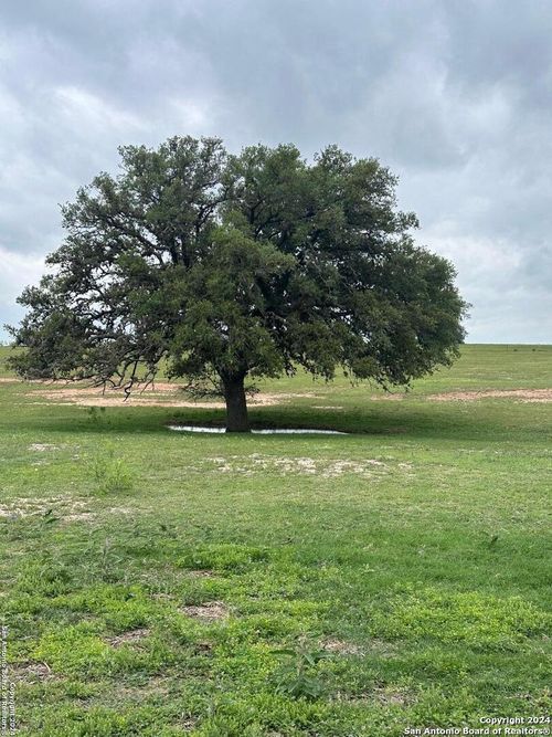 TBD (TR 4) W Gates Valley Rd, Poteet, TX, 78065 | Card Image