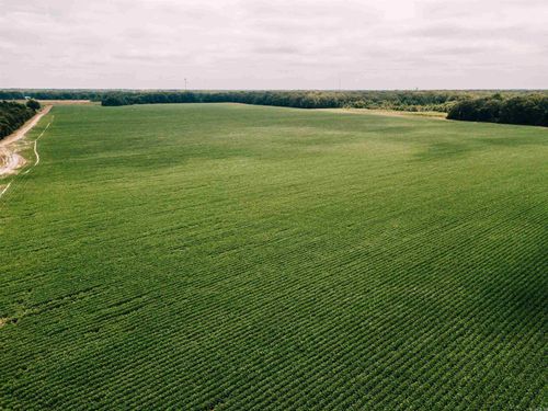 00 N Monroe St, De Witt, AR, 72042 | Card Image