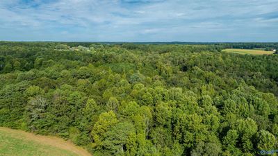 20.3 Acres County Road 589, Home with 0 bedrooms, 0 bathrooms and null parking in Henagar AL | Image 2