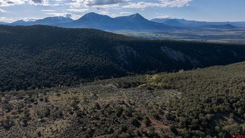 TBD Wolf Park Rd, Hotchkiss, CO, 81419 | Card Image