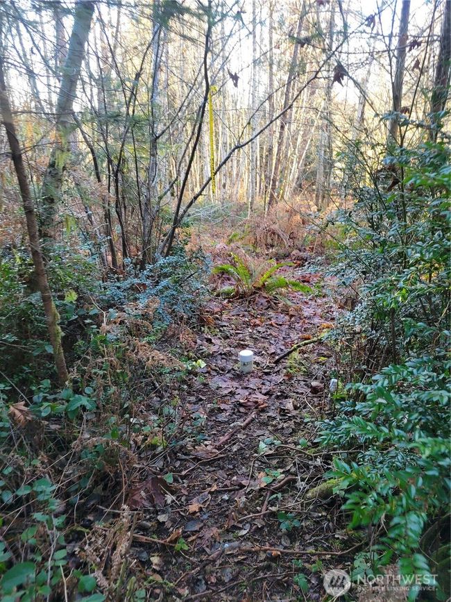 Septic | Image 19