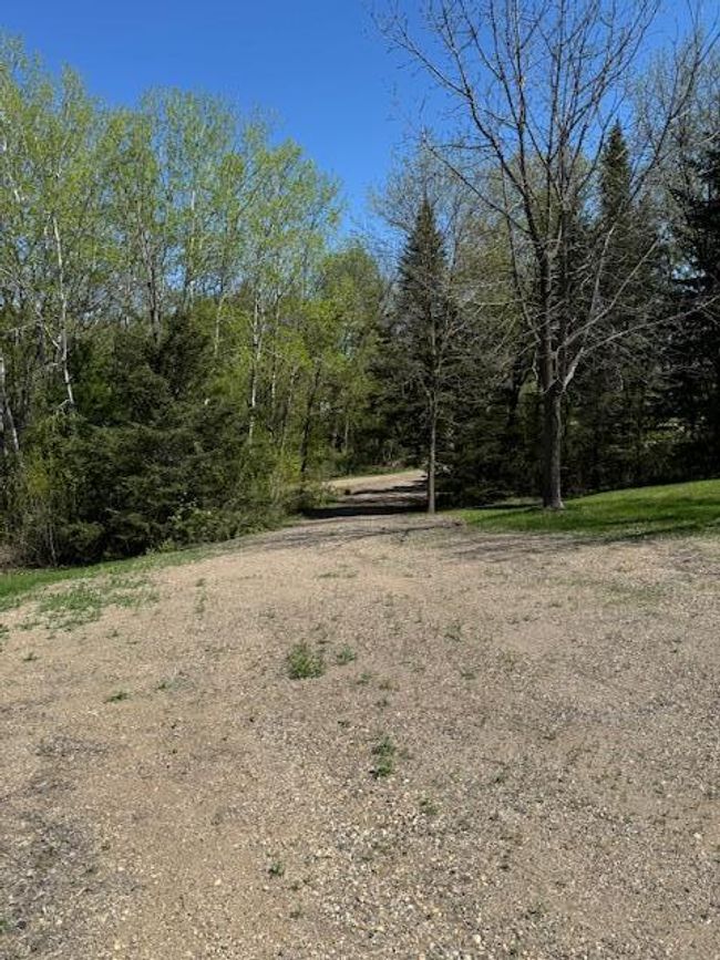 long elevated drive to shed . | Image 4
