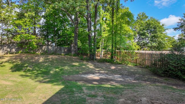 Backyard | Image 55