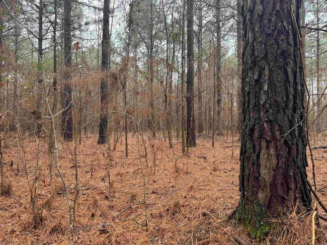 000 Ashley Road 912, Home with 0 bedrooms, 0 bathrooms and null parking in Hamburg AR | Image 38