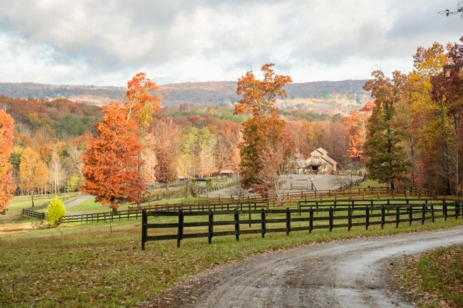 0 Long Branch Rd, Home with 0 bedrooms, 0 bathrooms and null parking in Rising Fawn GA | Image 5