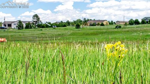 17255 Forest Green Way, Elbert, CO, 80106-8934 | Card Image