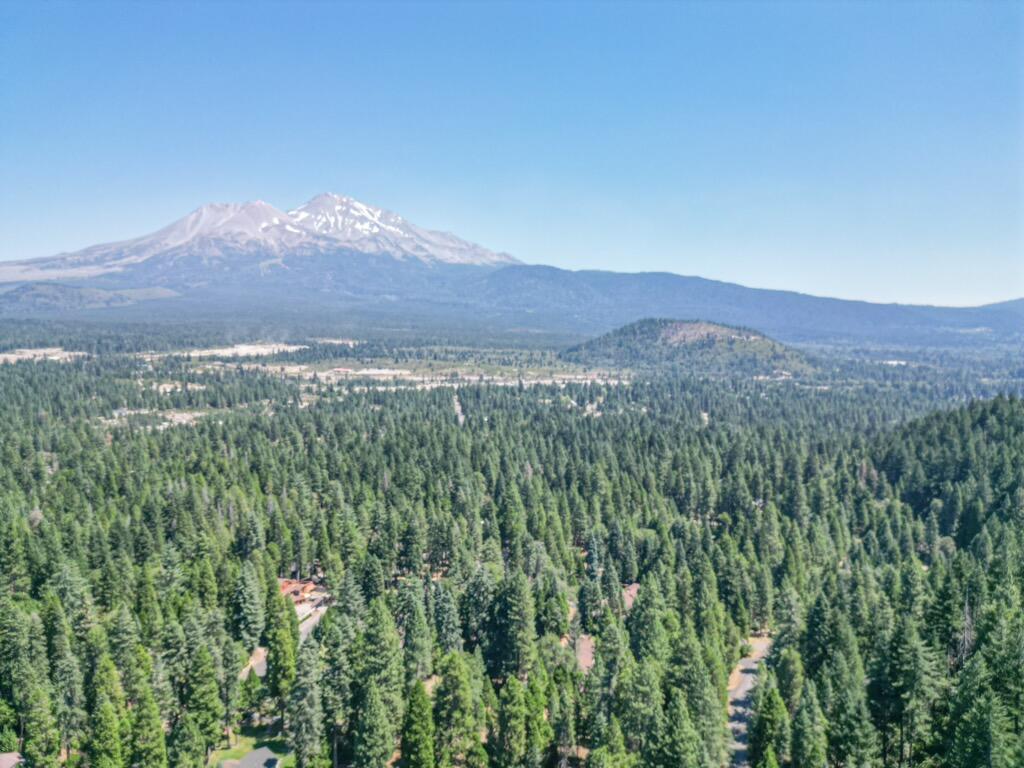 Land in Mount Shasta 2