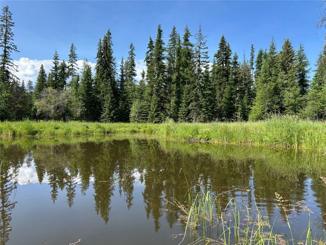 32 Whitepine Creek Rd, House other with 2 bedrooms, 2 bathrooms and null parking in Trout Creek MT | Image 70