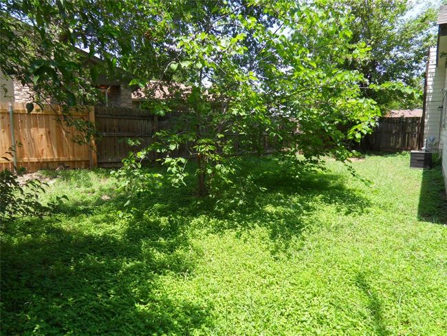View of yard | Image 16
