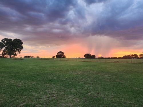 131 Brock Ln, Millsap, TX, 76066-1103 | Card Image