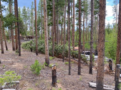 63 County Road 499, Grand Lake, CO, 80447 | Card Image