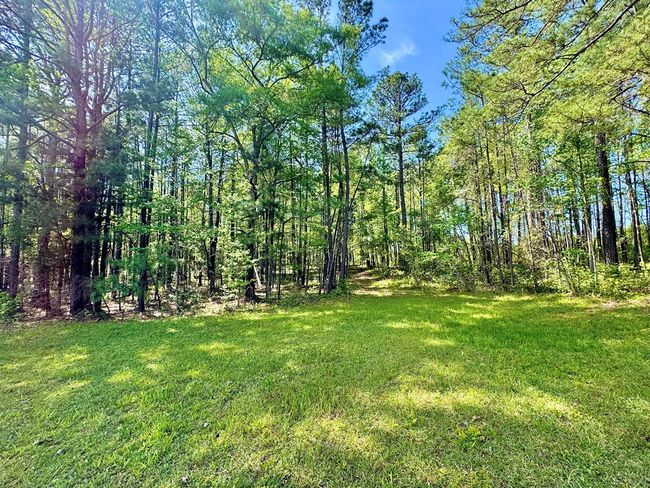 0 Ga Highway 87, Home with 0 bedrooms, 0 bathrooms and null parking in Juliette GA | Image 14
