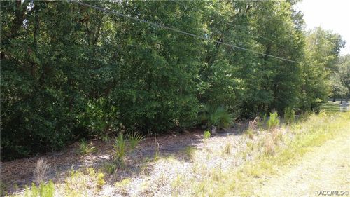12792 W Baltic Ivy Street, CRYSTAL RIVER, FL, 34428 | Card Image