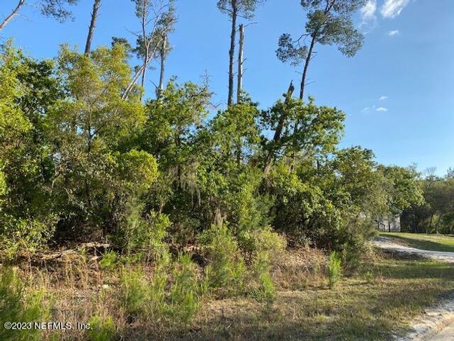 105 Sandpiper Ln, Home with 0 bedrooms, 0 bathrooms and null parking in Georgetown FL | Image 4