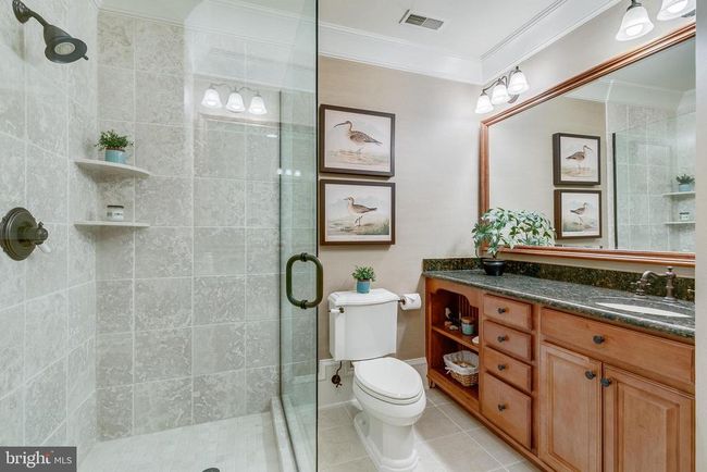 101 Chimney Ridge Pl, House other with 6 bedrooms, 7 bathrooms and null parking in Sterling VA | Image 89