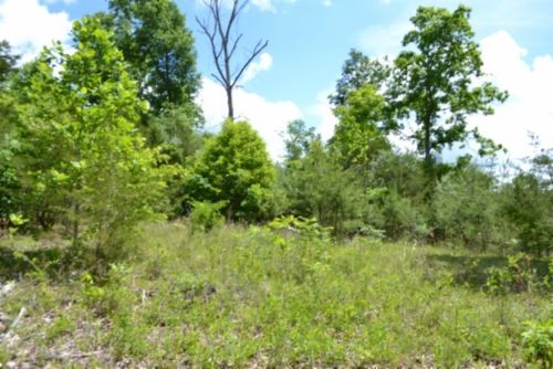 0 Beauchamp Rd, Burkesville, KY, 42717 | Card Image