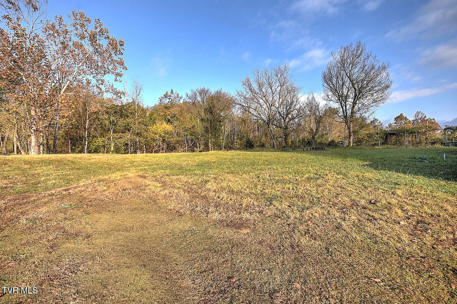 Land in Kingsport 4