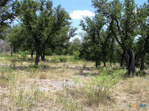 TBD-Lot 23 Ph 1 Pr 4218, Evant, TX, 76525 | Card Image