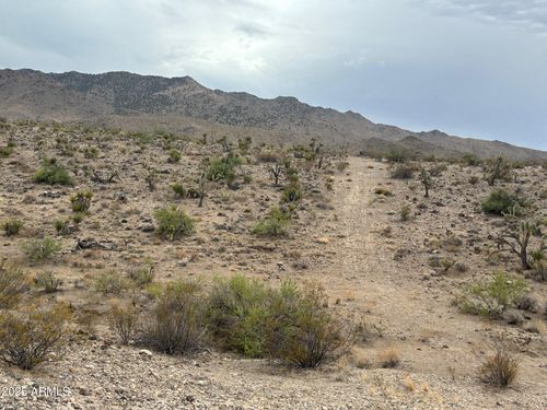48-000 N Mohave Dr, Dolan Springs, AZ, 86441 | Card Image