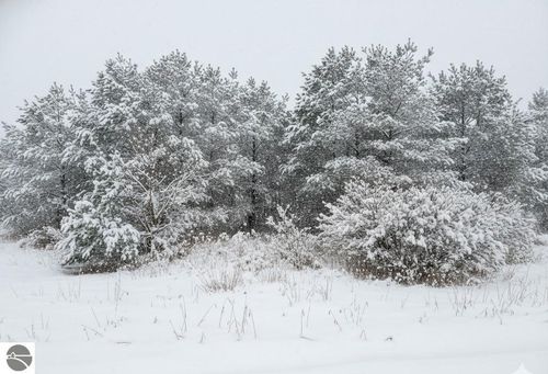 1 Spruce Hollow Trce, Fife Lake, MI, 49633 | Card Image