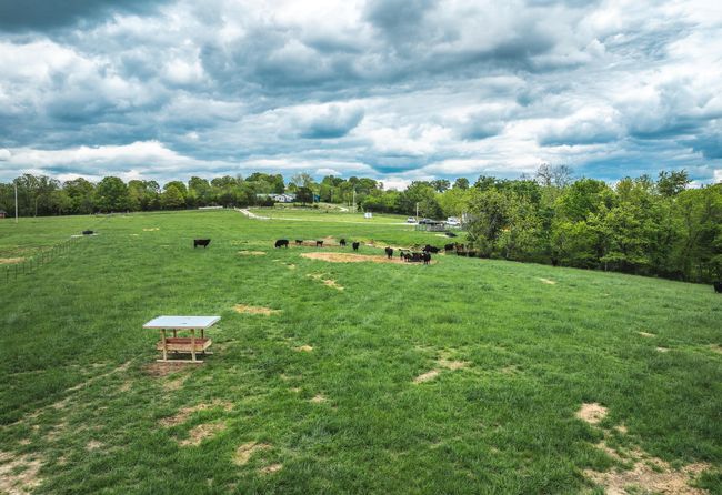 DJI_20250505142049_0063_D | Image 22