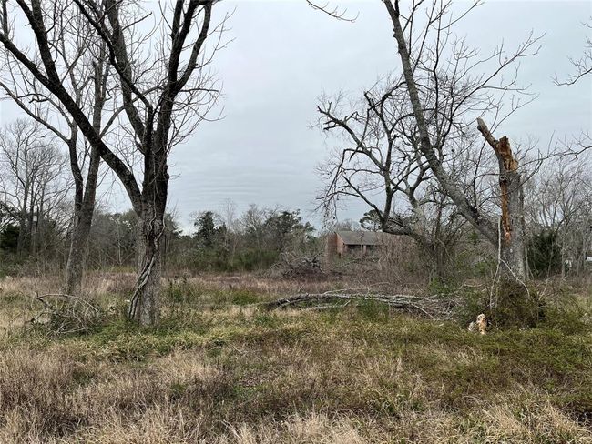 I can imagine you might want to situate a new house in this area. | Image 10