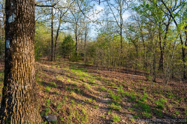 2 State Highway 101, Home with 0 bedrooms, 0 bathrooms and null parking in Muldrow OK | Image 14
