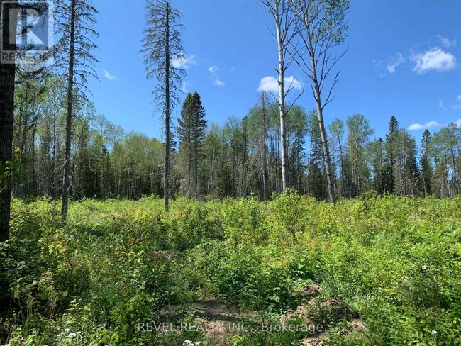 PCL8547 Hwy 101 Highway W, Home with 0 bedrooms, 0 bathrooms and null parking in Timmins (MTJ - 101 West) ON | Image 28