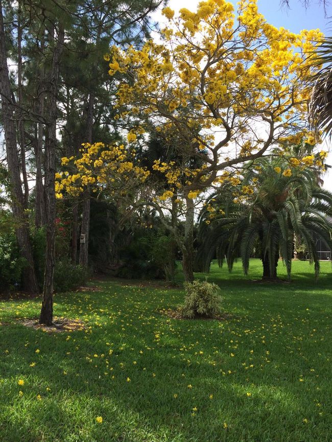 17768 Temple Blvd, House other with 5 bedrooms, 4 bathrooms and null parking in Loxahatchee FL | Image 30