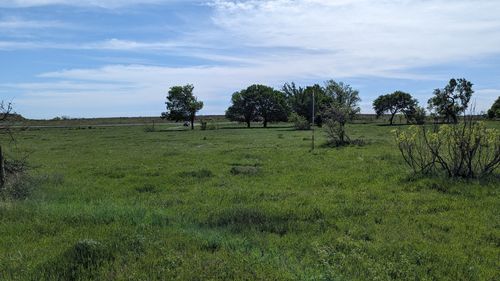 TBD High Plains Trail, Bellevue, TX, 76228 | Card Image