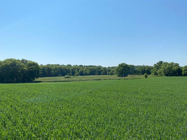 253 Pioneer Trl, House other with 5 bedrooms, 4 bathrooms and null parking in Hamel MN | Image 26