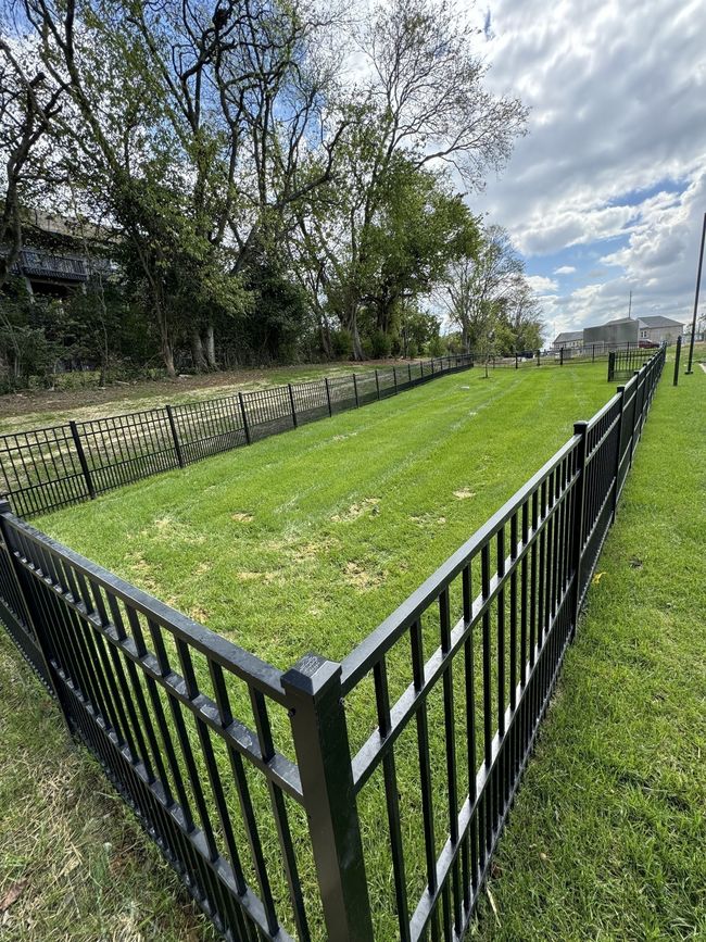 Perfect spot to run off the canine zoomies! | Image 42