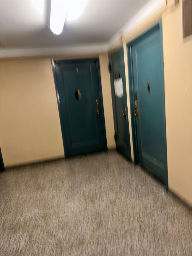 APT-7E - 1503 Metropolitan Ave, Condo with 1 bedrooms, 1 bathrooms and null parking in Bronx NY | Image 15
