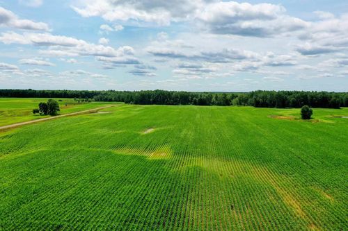 +/-196.61 Acres Wiese Drive, Rib Lake, WI, 54470 | Card Image