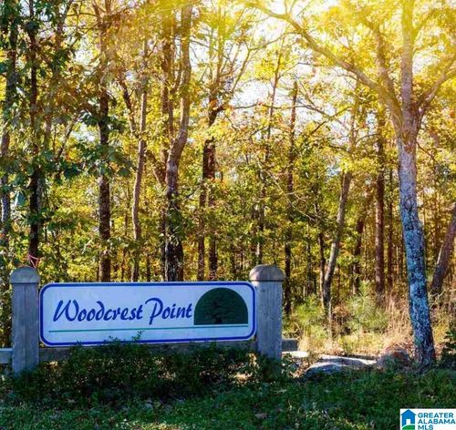 9-10-11-12-0 County Road 3294, Wedowee, AL, 36278 | Card Image