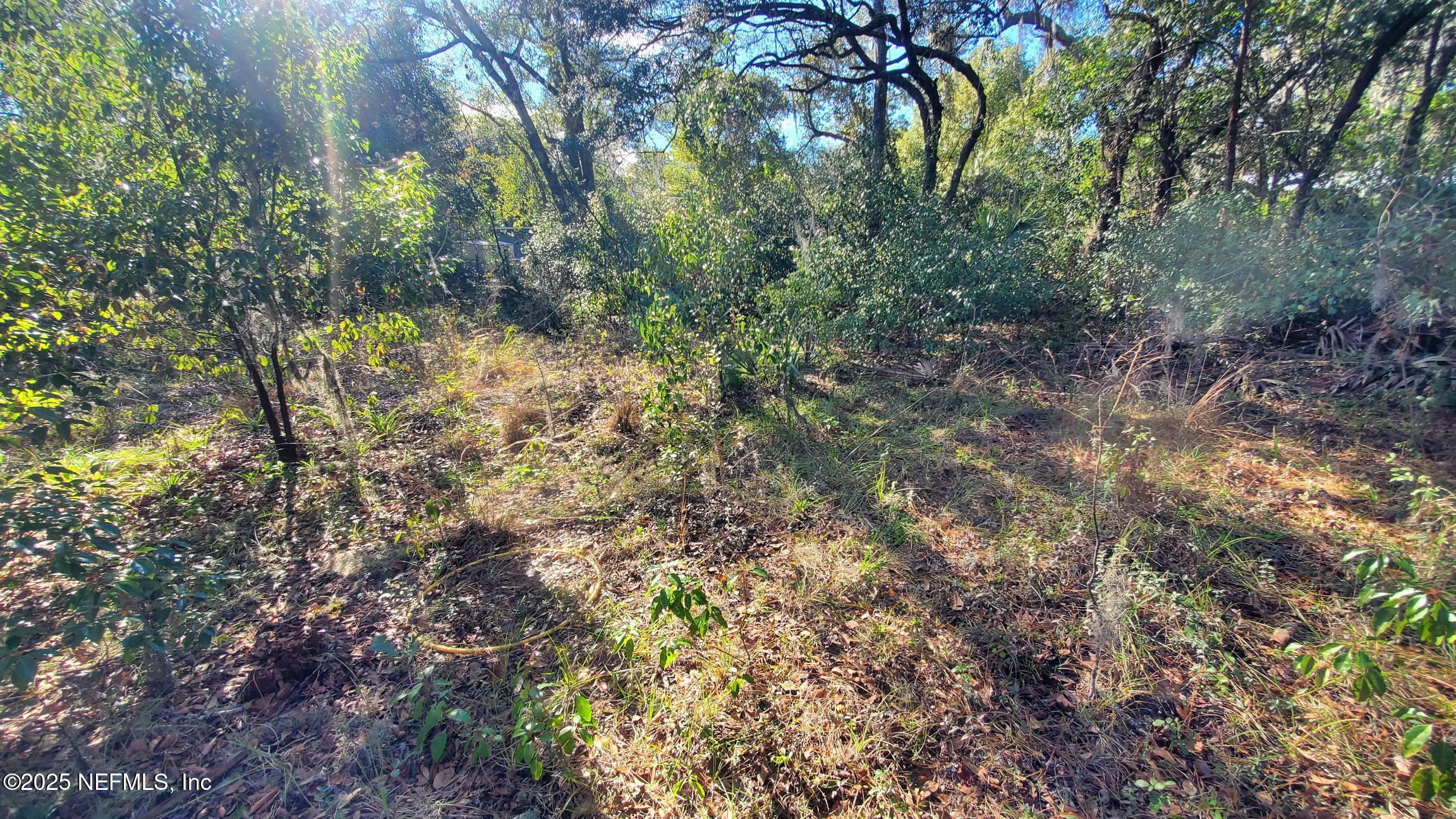 Land in Interlachen 4
