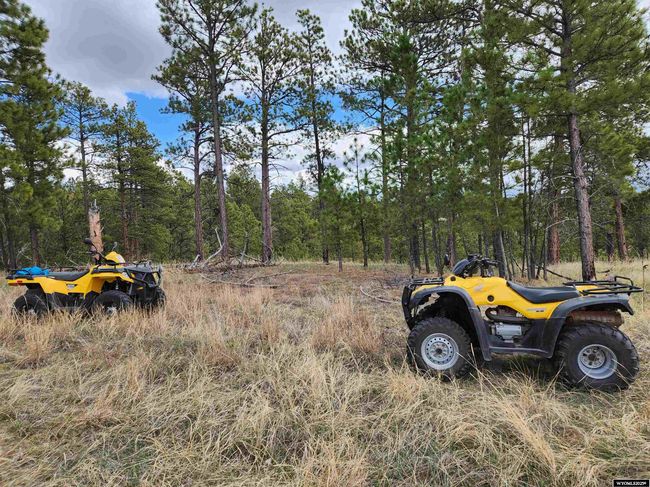 46B Two Pipe Trl, Home with 0 bedrooms, 0 bathrooms and null parking in Sundance WY | Image 11