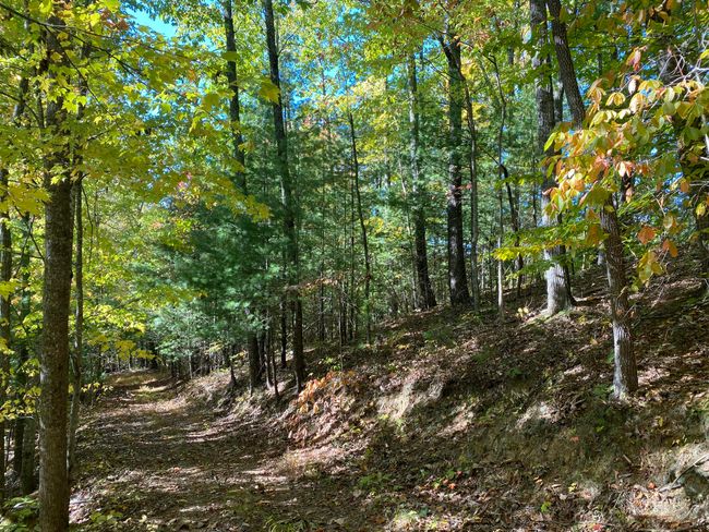 431 Harold Luke Rd, House other with 4 bedrooms, 4 bathrooms and null parking in Campton KY | Image 18