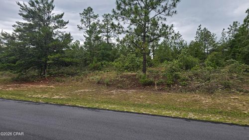 Lot 3 Deadening Rd, Chipley, FL, 32428 | Card Image