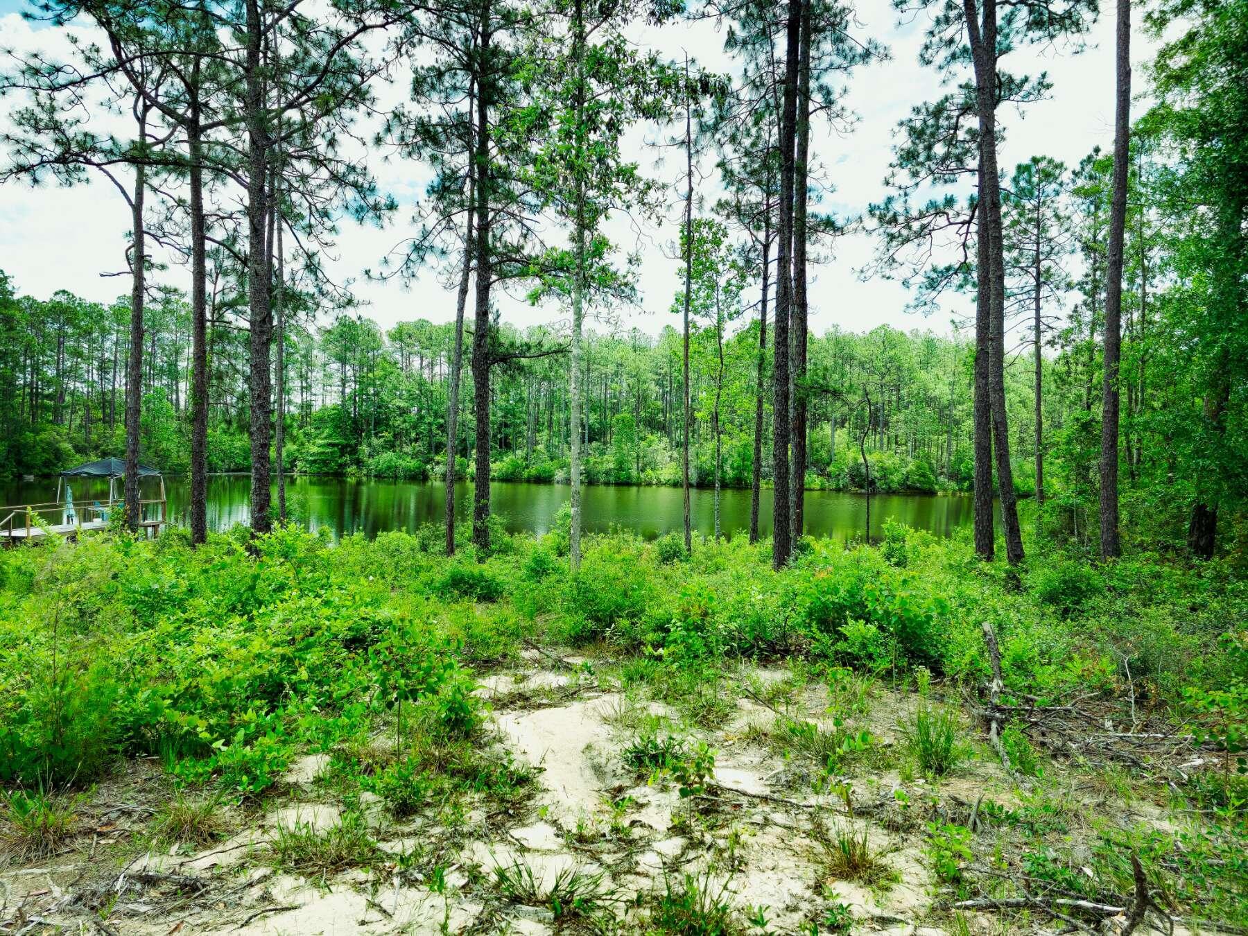 Land in DeFuniak Springs