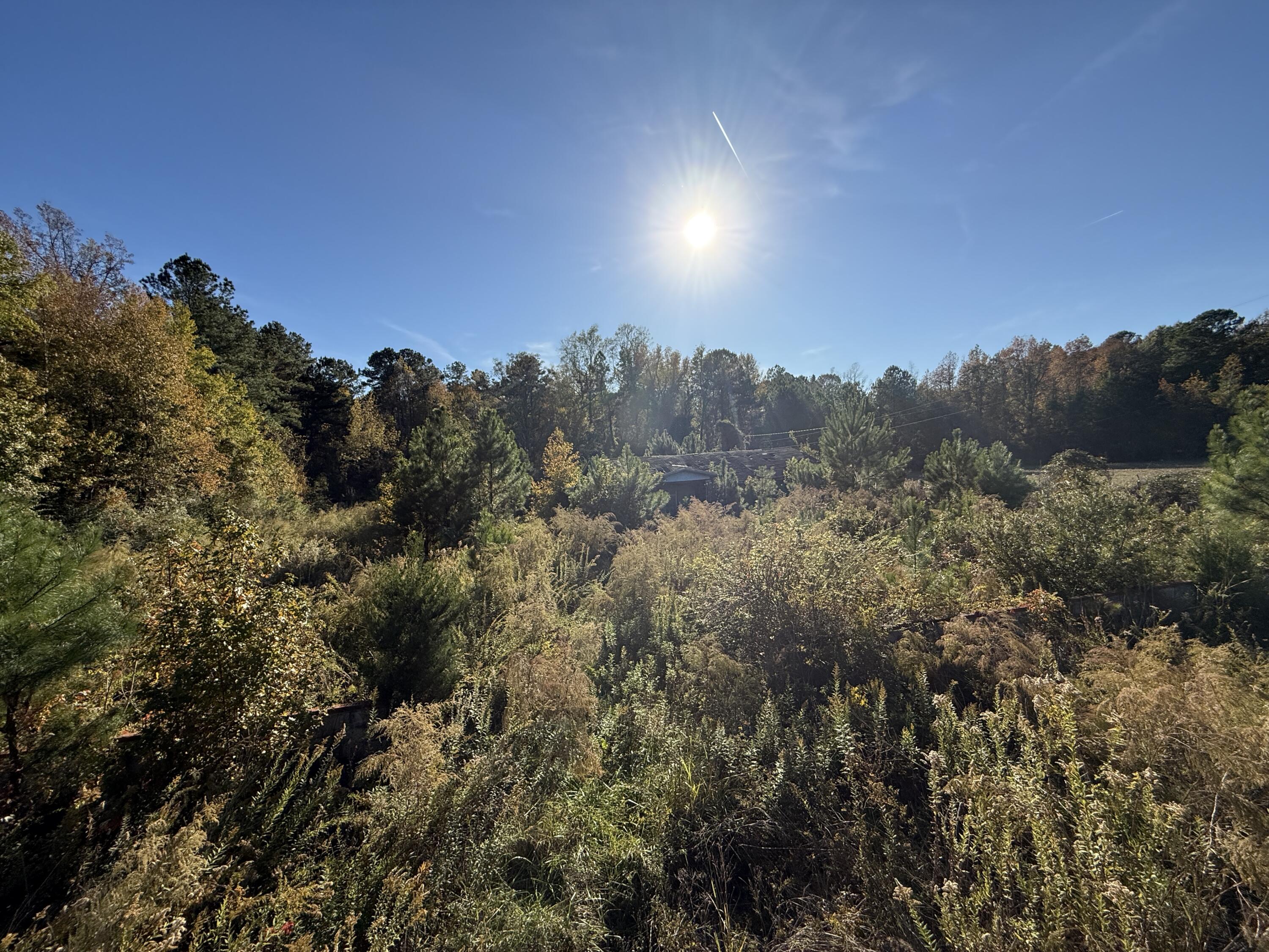 Land in Kingstree 4