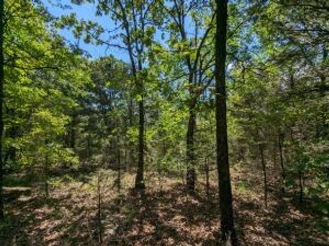 TBD 7A Spring Creek Trail, Home with 0 bedrooms, 0 bathrooms and null parking in Cecil AR | Image 5